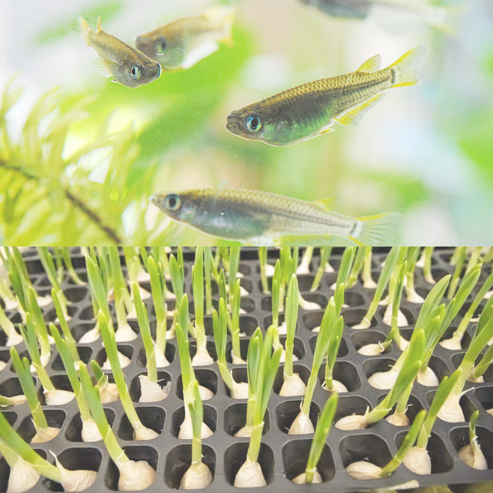 Free HTML5 Bootstrap Template by FreeHTML5.co